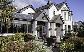 White Rabbit By Chef & Brewer Collection